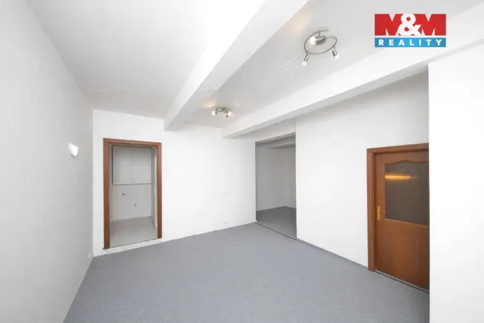 Prodej bytu 2+1, Praha - Bubeneč, U zeměpisného ústavu, 57 m2