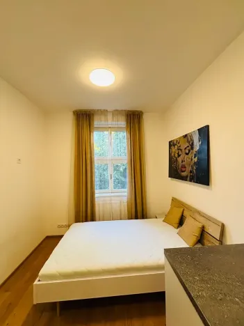 Pronájem bytu 1+kk, Praha - Dejvice, Studentská, 20 m2