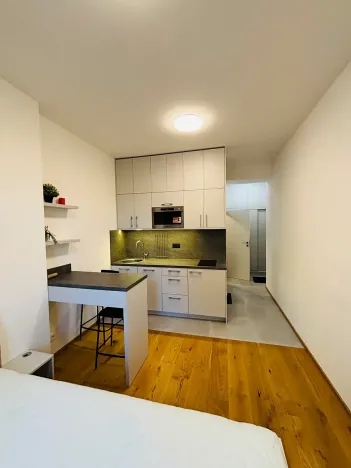 Pronájem bytu 1+kk, Praha - Dejvice, Studentská, 20 m2