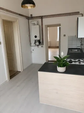 Pronájem bytu 1+1, Olomouc, Litovelská, 46 m2