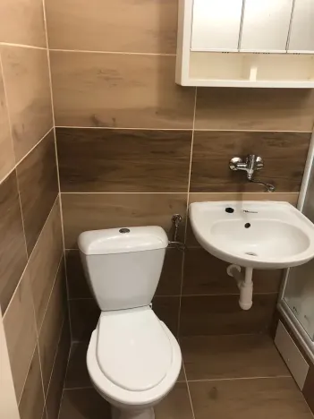 Pronájem bytu 1+1, Olomouc, Litovelská, 46 m2