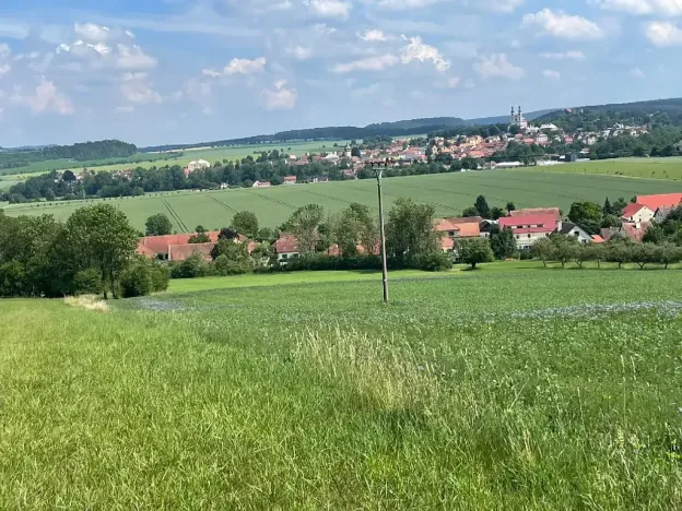 Prodej louky, Luže, 11020 m2