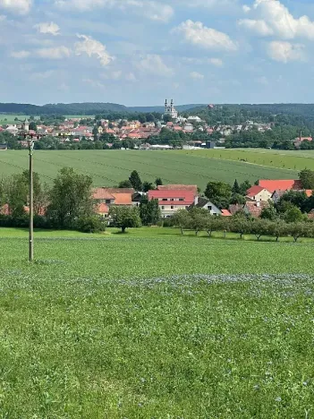 Prodej louky, Luže, 11020 m2