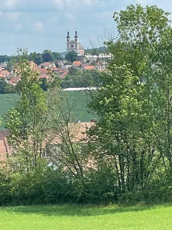 Prodej louky, Luže, 11020 m2