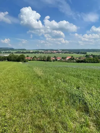 Prodej louky, Luže, 11020 m2