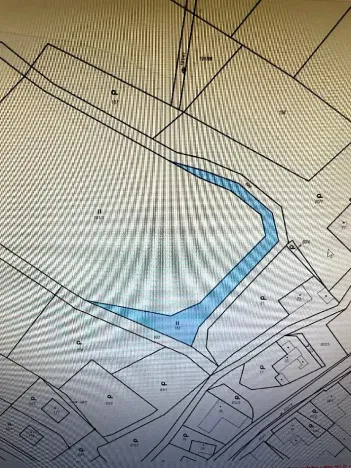 Prodej louky, Luže, 11020 m2
