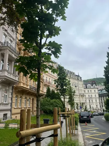 Prodej bytu 3+kk, Karlovy Vary, Sadová, 64 m2