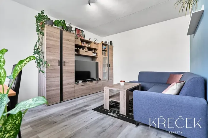 Pronájem bytu 2+1, Třebíč, Modřínová, 50 m2