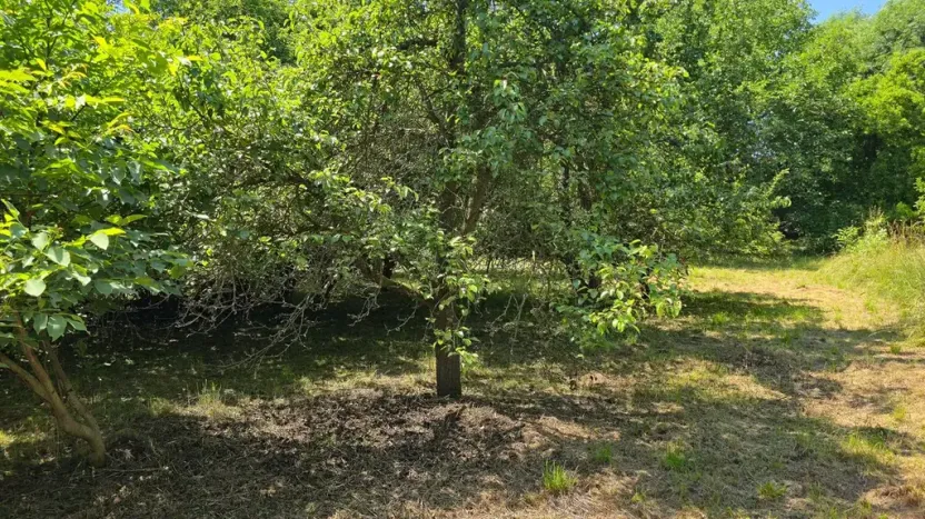 Prodej pozemku pro bydlení, Bukovina u Přelouče, 998 m2