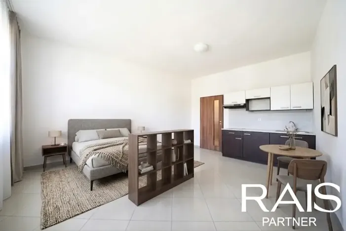 Prodej bytu 1+kk, Brno, Dukelská třída, 29 m2