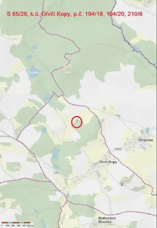 Prodej lesa, Dívčí Kopy, 1088 m2