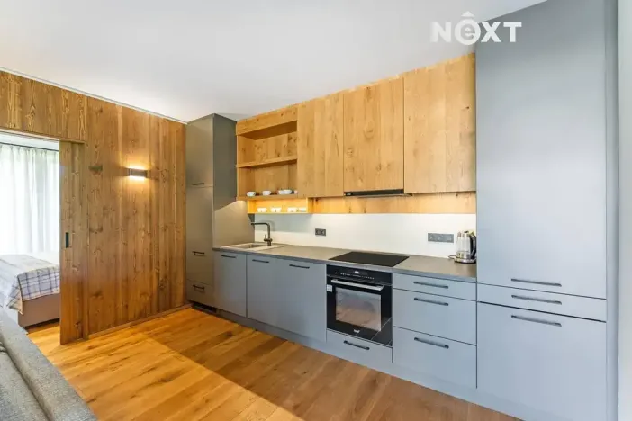 Prodej bytu 2+kk, Vítkovice, 57 m2