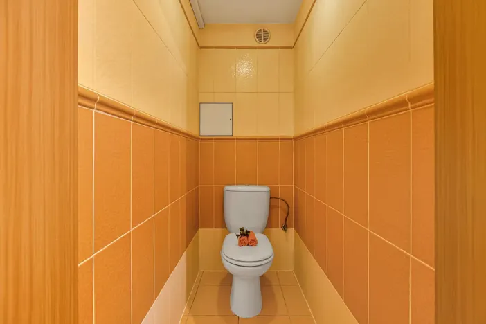 Prodej bytu 3+kk, Šestajovice, Komenského, 116 m2