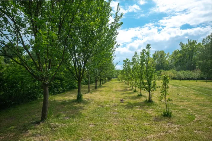 Prodej pozemku, Vyšní Lhoty, 14636 m2