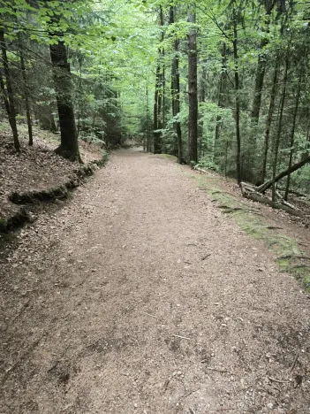 Prodej lesa, Liberec, 10902 m2