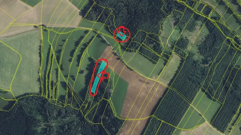 Prodej lesa, Zábřeh, 4422 m2