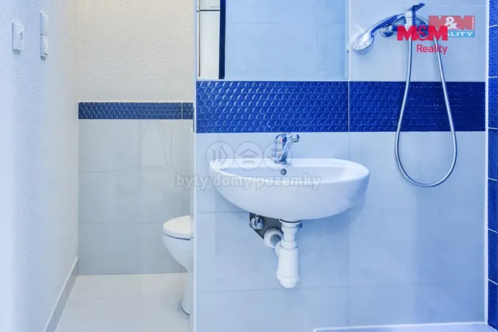 Prodej bytu 1+kk, Plzeň - Severní Předměstí, Brněnská, 31 m2