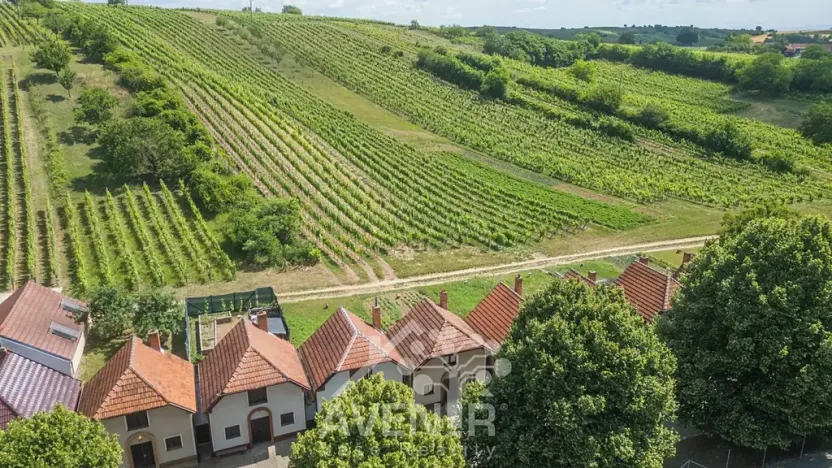 Prodej vinného sklepa, Čejkovice, 84 m2