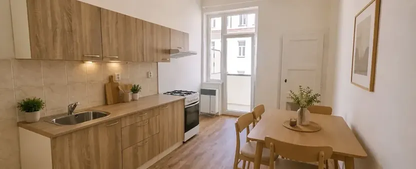 Pronájem bytu 1+1, Brno, Rybníček, 54 m2