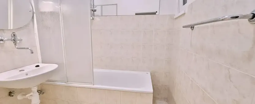 Pronájem bytu 1+1, Brno, Rybníček, 54 m2
