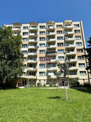Prodej bytu 2+1, České Budějovice, Mánesova, 52 m2