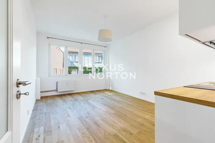 Pronájem bytu 1+kk, Praha - Staré Město, Bartolomějská, 31 m2