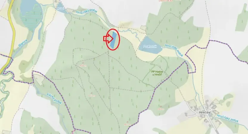 Prodej podílu lesa, Kamberk, 1844 m2