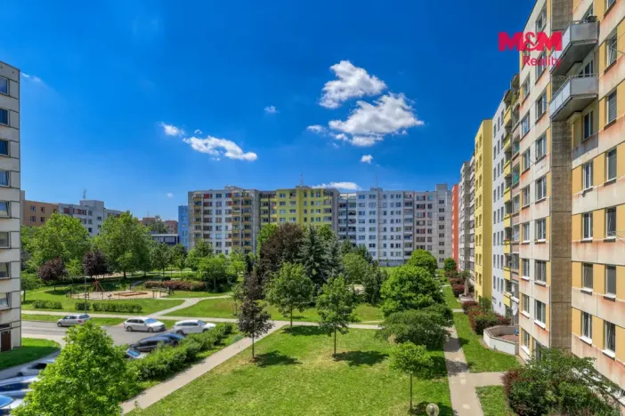 Prodej bytu 1+1, Písek - Pražské Předměstí, Jablonského, 41 m2