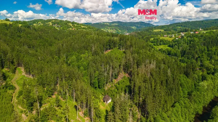 Prodej lesa, Jablonec nad Jizerou - Dolní Tříč, 18052 m2