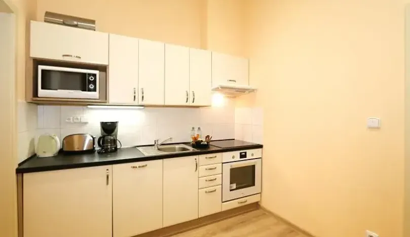 Pronájem bytu 1+1, Praha - Vinohrady, Máchova, 40 m2