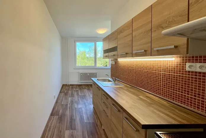 Pronájem bytu 1+1, Brno, Palackého třída, 39 m2