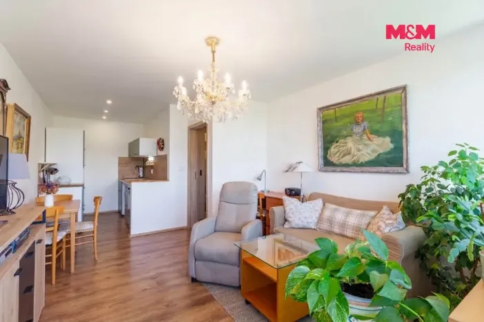 Prodej bytu 2+kk, Praha - Braník, V křovinách, 46 m2