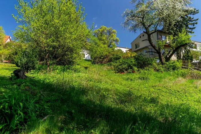 Prodej pozemku pro bydlení, Brno, 3243 m2