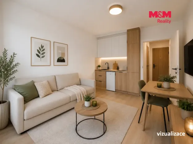 Prodej bytu 1+kk, Praha - Michle, Batelovská, 24 m2