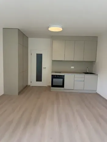 Pronájem bytu 1+kk, Praha - Vysočany, Gerstelova, 39 m2