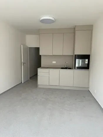 Pronájem bytu 1+kk, Praha - Vysočany, Gerstelova, 43 m2