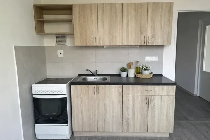 Pronájem bytu 1+1, Litvínov, U Bílého sloupu, 40 m2