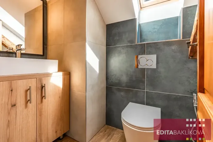 Prodej bytu 3+kk, Olomouc, Hodolanská, 112 m2