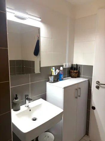 Pronájem bytu 3+kk, Plzeň, Otýlie Beníškové, 80 m2