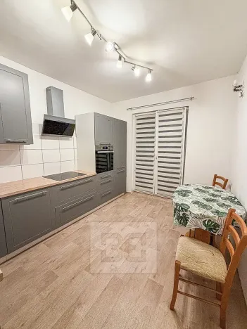 Pronájem bytu 2+1, Ostrov, S. K. Neumanna, 56 m2