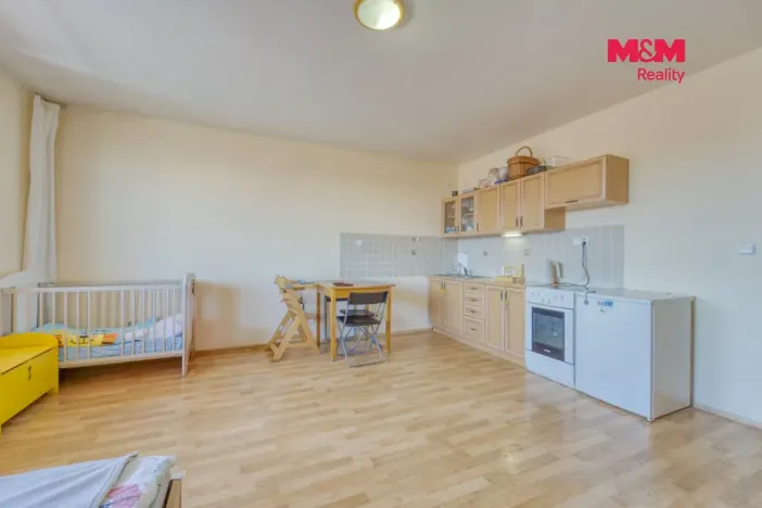 Pronájem bytu 1+kk, Plzeň - Východní Předměstí, Plzenecká, 33 m2