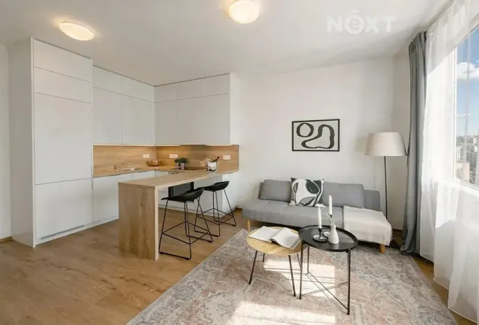 Prodej bytu 2+kk, Praha - Břevnov, Nad Kajetánkou, 45 m2