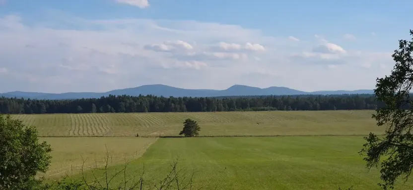 Prodej chalupy, Suchdol nad Lužnicí, 308 m2