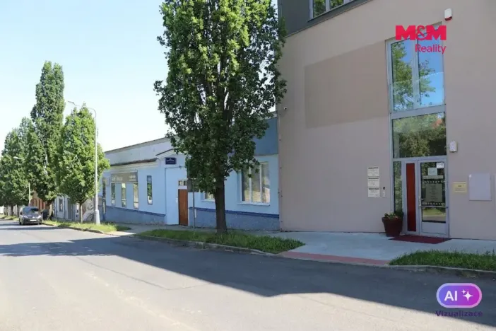 Prodej obchodního prostoru, Mělník, Krombholcova, 300 m2