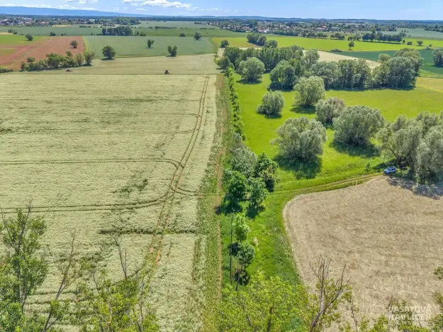 Prodej rybníku, Černožice, 528 m2