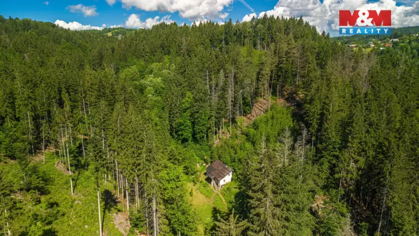 Prodej chalupy, Jablonec nad Jizerou - Dolní Tříč, 80 m2