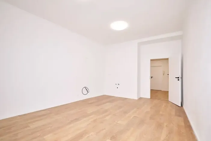 Prodej bytu 2+kk, Praha, V olšinách, 46 m2