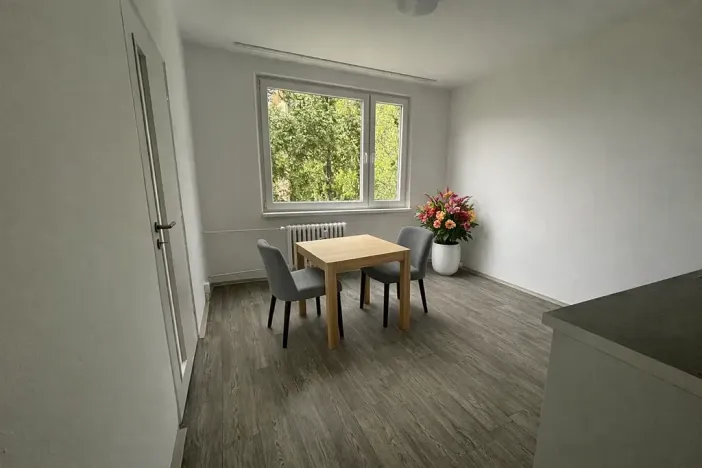 Pronájem bytu 1+1, Litvínov, Čapkova, 38 m2
