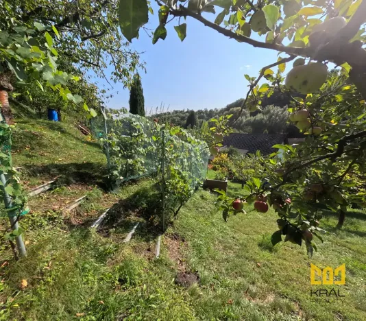 Prodej rodinného domu, Bělá pod Bezdězem, Táborová, 178 m2