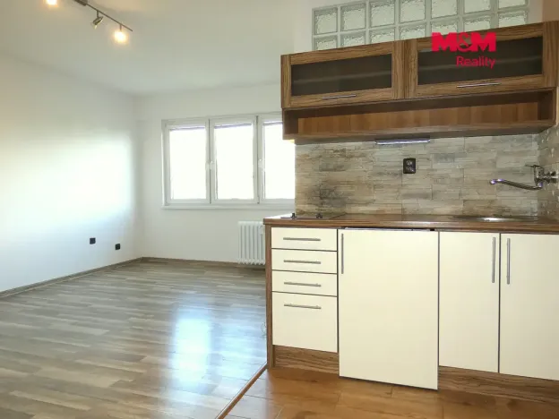 Pronájem bytu 1+kk, Ostrava - Moravská Ostrava, Petra Křičky, 30 m2